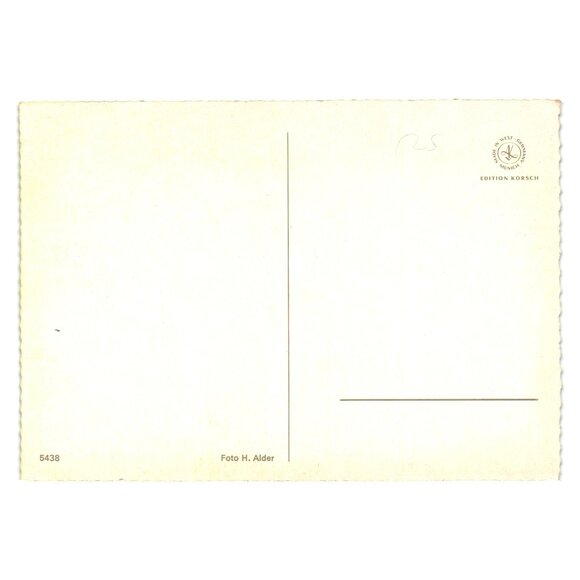 Vintage Horse Jumping Postcard Foto H. Alder Edition Korsch 5438 Scalloped Edge - Picture 2 of 2